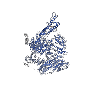 20849_6uqk_A_v1-3
Cryo-EM structure of type 3 IP3 receptor revealing presence of a self-binding peptide