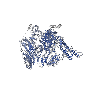 20849_6uqk_B_v1-3
Cryo-EM structure of type 3 IP3 receptor revealing presence of a self-binding peptide