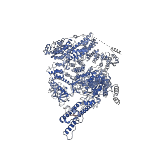 20849_6uqk_C_v1-2
Cryo-EM structure of type 3 IP3 receptor revealing presence of a self-binding peptide