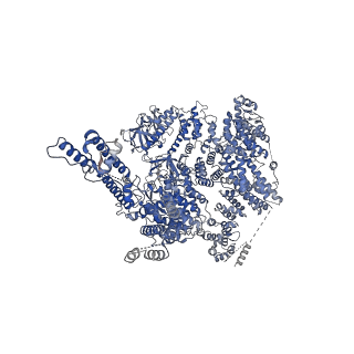 20849_6uqk_D_v1-2
Cryo-EM structure of type 3 IP3 receptor revealing presence of a self-binding peptide