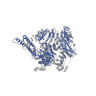 20849_6uqk_D_v1-3
Cryo-EM structure of type 3 IP3 receptor revealing presence of a self-binding peptide