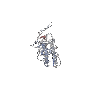 26320_7uqr_A_v1-1
Cryo-EM structure of the pancreatic ATP-sensitive potassium channel in the apo form with Kir6.2-CTD in the down conformation