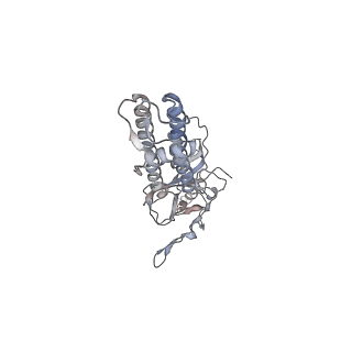 26320_7uqr_C_v1-1
Cryo-EM structure of the pancreatic ATP-sensitive potassium channel in the apo form with Kir6.2-CTD in the down conformation