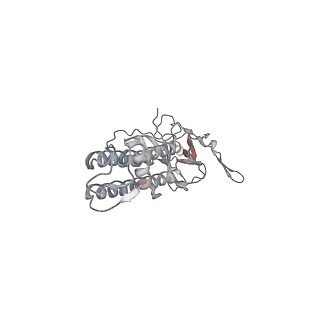26320_7uqr_D_v1-1
Cryo-EM structure of the pancreatic ATP-sensitive potassium channel in the apo form with Kir6.2-CTD in the down conformation