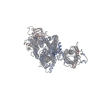 26320_7uqr_E_v1-1
Cryo-EM structure of the pancreatic ATP-sensitive potassium channel in the apo form with Kir6.2-CTD in the down conformation