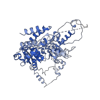 26695_7uqi_A_v1-1
Cryo-EM structure of the S. cerevisiae chromatin remodeler Yta7 hexamer bound to ADP