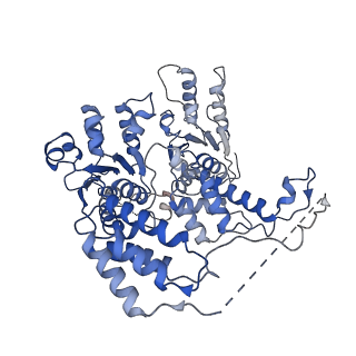 26695_7uqi_B_v1-1
Cryo-EM structure of the S. cerevisiae chromatin remodeler Yta7 hexamer bound to ADP