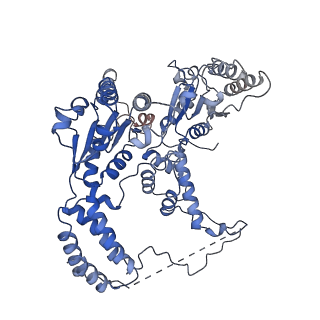 26695_7uqi_C_v1-1
Cryo-EM structure of the S. cerevisiae chromatin remodeler Yta7 hexamer bound to ADP