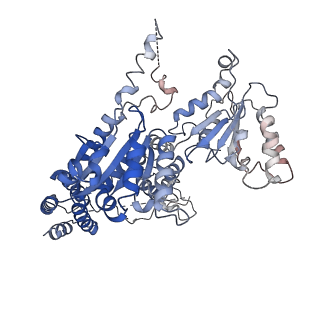 26695_7uqi_D_v1-1
Cryo-EM structure of the S. cerevisiae chromatin remodeler Yta7 hexamer bound to ADP