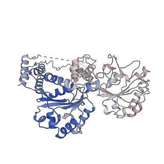 26695_7uqi_E_v1-1
Cryo-EM structure of the S. cerevisiae chromatin remodeler Yta7 hexamer bound to ADP