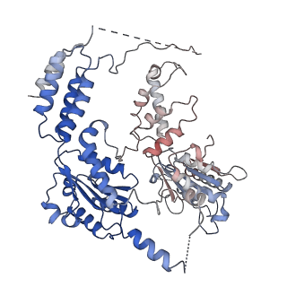26695_7uqi_F_v1-1
Cryo-EM structure of the S. cerevisiae chromatin remodeler Yta7 hexamer bound to ADP