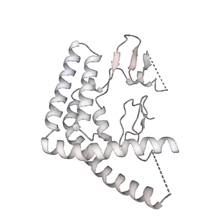 26695_7uqi_G_v1-1
Cryo-EM structure of the S. cerevisiae chromatin remodeler Yta7 hexamer bound to ADP