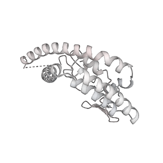 26695_7uqi_I_v1-1
Cryo-EM structure of the S. cerevisiae chromatin remodeler Yta7 hexamer bound to ADP