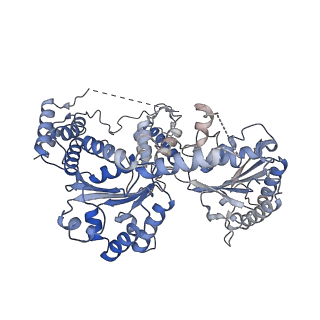 26696_7uqj_F_v1-1
Cryo-EM structure of the S. cerevisiae chromatin remodeler Yta7 hexamer bound to ATPgS and histone H3 tail in state II