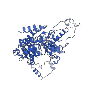 26697_7uqk_A_v1-1
Cryo-EM structure of the S. cerevisiae chromatin remodeler Yta7 hexamer bound to ADP