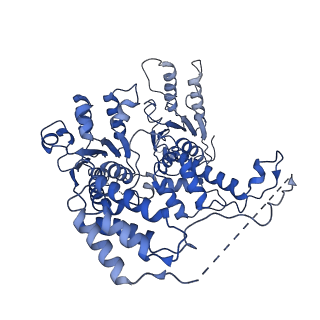 26697_7uqk_B_v1-1
Cryo-EM structure of the S. cerevisiae chromatin remodeler Yta7 hexamer bound to ADP