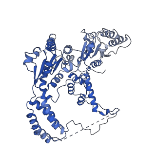 26697_7uqk_C_v1-1
Cryo-EM structure of the S. cerevisiae chromatin remodeler Yta7 hexamer bound to ADP