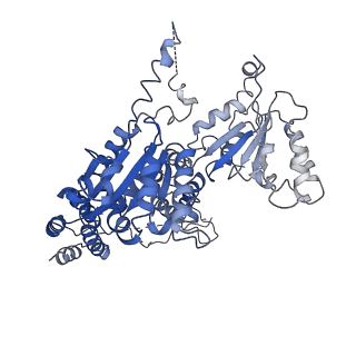 26697_7uqk_D_v1-1
Cryo-EM structure of the S. cerevisiae chromatin remodeler Yta7 hexamer bound to ADP