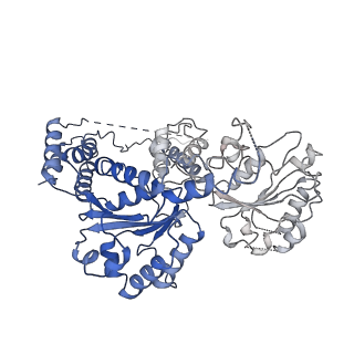 26697_7uqk_E_v1-1
Cryo-EM structure of the S. cerevisiae chromatin remodeler Yta7 hexamer bound to ADP