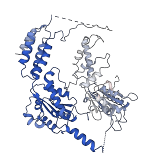 26697_7uqk_F_v1-1
Cryo-EM structure of the S. cerevisiae chromatin remodeler Yta7 hexamer bound to ADP