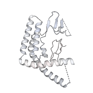26697_7uqk_G_v1-1
Cryo-EM structure of the S. cerevisiae chromatin remodeler Yta7 hexamer bound to ADP