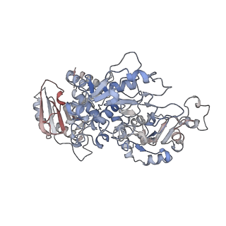 26701_7uqx_A_v1-2
Cryo-EM structure of the human Exostosin-1 and Exostosin-2 heterodimer in complex with UDP-GlcNAc