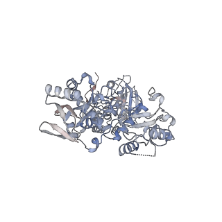 26701_7uqx_B_v1-2
Cryo-EM structure of the human Exostosin-1 and Exostosin-2 heterodimer in complex with UDP-GlcNAc