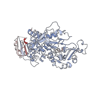 26702_7uqy_A_v1-2
Cryo-EM structure of the human Exostosin-1 and Exostosin-2 heterodimer in complex with UDP-GlcA