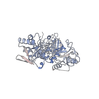 26702_7uqy_B_v1-2
Cryo-EM structure of the human Exostosin-1 and Exostosin-2 heterodimer in complex with UDP-GlcA