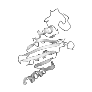 2676_4uq8_C_v1-2
Electron cryo-microscopy of bovine Complex I