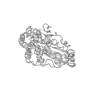 2676_4uq8_D_v1-2
Electron cryo-microscopy of bovine Complex I