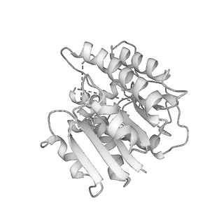 2676_4uq8_P_v1-2
Electron cryo-microscopy of bovine Complex I