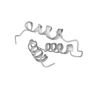 2676_4uq8_n_v1-2
Electron cryo-microscopy of bovine Complex I