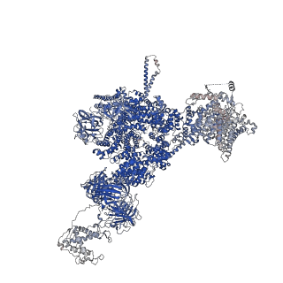 42458_8uq2_B_v1-0
Structure of human RyR2-S2808D in the subprimed state