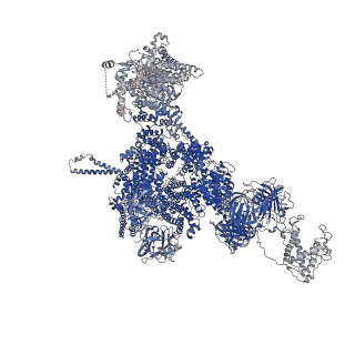 42458_8uq2_C_v1-0
Structure of human RyR2-S2808D in the subprimed state