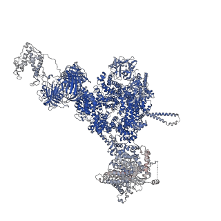 42459_8uq3_A_v1-0
Structure of human RyR2-S2808D in the closed state in the presence of ARM210