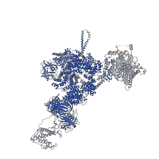 42459_8uq3_B_v1-0
Structure of human RyR2-S2808D in the closed state in the presence of ARM210