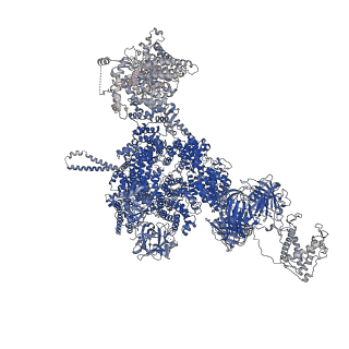 42459_8uq3_C_v1-0
Structure of human RyR2-S2808D in the closed state in the presence of ARM210