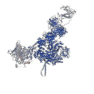 42459_8uq3_D_v1-0
Structure of human RyR2-S2808D in the closed state in the presence of ARM210