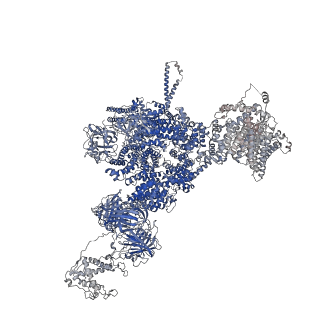 42460_8uq4_B_v1-0
Structure of human RyR2-S2808D in the subprimed state in the presence of H2O2/NOC-12/GSH