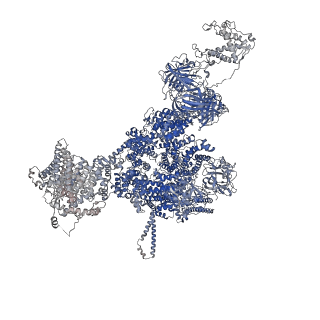 42460_8uq4_D_v1-0
Structure of human RyR2-S2808D in the subprimed state in the presence of H2O2/NOC-12/GSH