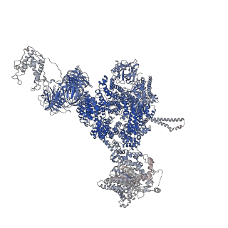 42461_8uq5_A_v1-0
Structure of human RyR2-S2808D in the primed state in the presence of Rapamycin