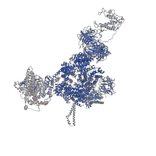 42461_8uq5_D_v1-0
Structure of human RyR2-S2808D in the primed state in the presence of Rapamycin