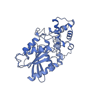 42475_8uqn_A_v1-0
PLCb3-Gaq complex on membranes