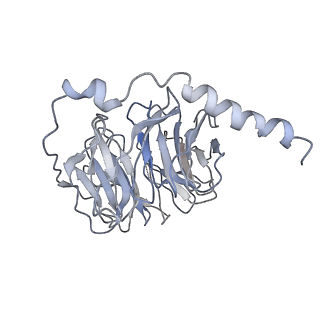 42476_8uqo_C_v1-0
PLCb3-Gbg-Gaq complex on membranes