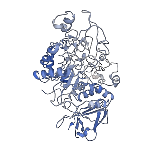 42478_8uqv_A_v1-0
Trehalose Synthase (TreS) of Mycobacterium tuberculosis in complex with 6-TreAz compound