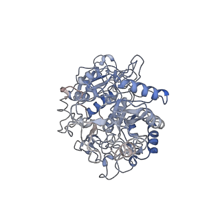 42478_8uqv_B_v1-0
Trehalose Synthase (TreS) of Mycobacterium tuberculosis in complex with 6-TreAz compound