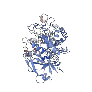 42478_8uqv_C_v1-0
Trehalose Synthase (TreS) of Mycobacterium tuberculosis in complex with 6-TreAz compound