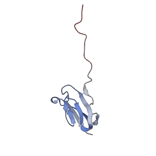 8596_5uq7_0_v1-2
70S ribosome complex with dnaX mRNA stemloop and E-site tRNA ("in" conformation)