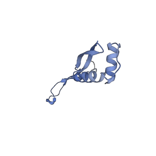 8596_5uq7_1_v1-2
70S ribosome complex with dnaX mRNA stemloop and E-site tRNA ("in" conformation)